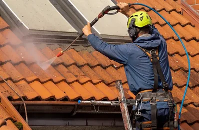 Démoussage et hydrofuge de toiture à Baud